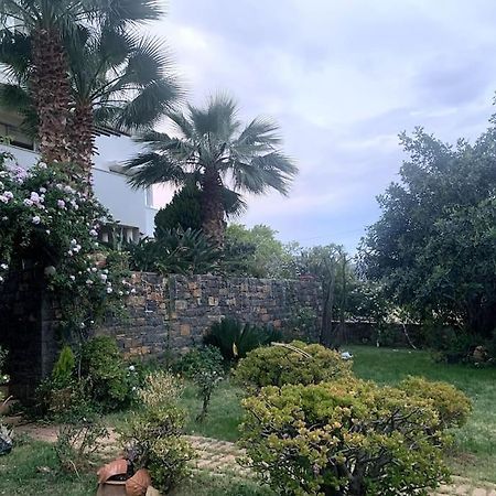 Ammoudi Hideaway Apartment Agios Nikolaos  Bagian luar foto